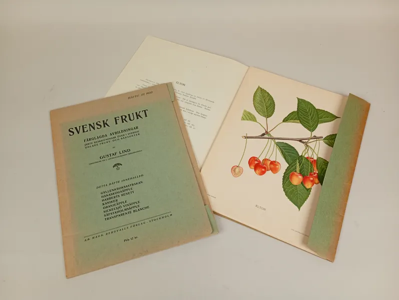 Bildsamlingar, "Svensk frukt" Gustaf Lind 1922