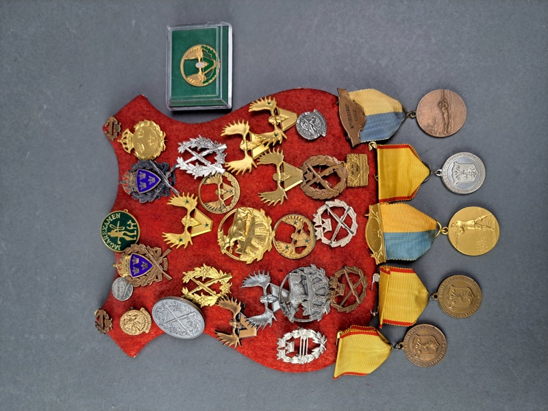 Pins & medaljer bl.a. Silver