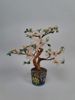 Dekorationsträd, Bonsai-form, Kina