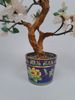 Dekorationsträd, Bonsai-form, Kina