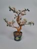 Dekorationsträd, Bonsai-form, Kina