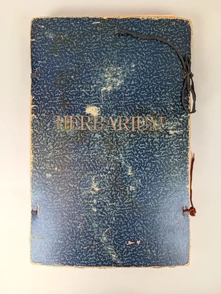 Hebarium
