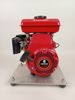 Motor, Loncin 2,5 HP
