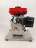 Motor, Loncin 2,5 HP