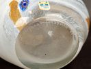 Vaser 2 st, konstglas Höganäs Glasbruk, signerade