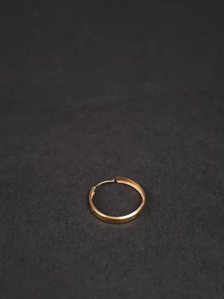 Örhänge, 18 k Guld