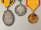 Medaljer & pins bl.a. Silver