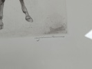 8209b_8dc9a6e8712807d_sm.jpeg